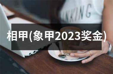 <h3>相甲(象甲2025奖金)