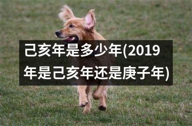 <h3>己亥年是多少年(2019年是己亥年还是庚子年)