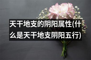 <h3>天干地支的阴阳属性(什么是天干地支阴阳五行)