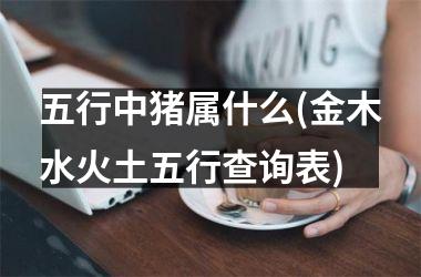 <h3>五行中猪属什么(金木水火土五行查询表)