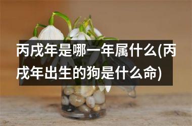 <h3>丙戌年是哪一年属什么(丙戌年出生的狗是什么命)
