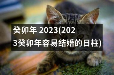 <h3>癸卯年 2025(2025癸卯年容易结婚的日柱)