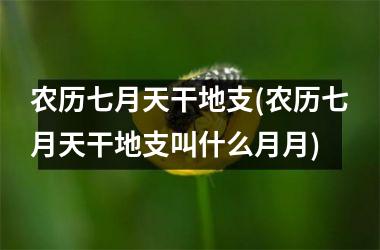 农历七月天干地支(农历七月天干地支叫什么月月)