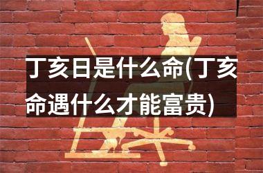 <h3>丁亥日是什么命(丁亥命遇什么才能富贵)