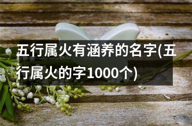 五行属火有涵养的名字(五行属火的字1000个)