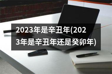 <h3>2025年是辛丑年(2025年是辛丑年还是癸卯年)