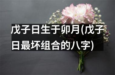 <h3>戊子日生于卯月(戊子日最坏组合的八字)