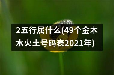 <h3>2五行属什么(49个金木水火土号码表2025年)