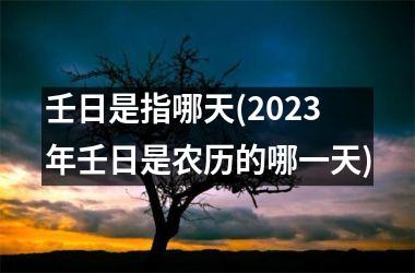 壬日是指哪天(2025年壬日是农历的哪一天)