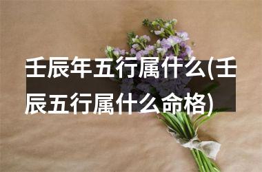 <h3>壬辰年五行属什么(壬辰五行属什么命格)