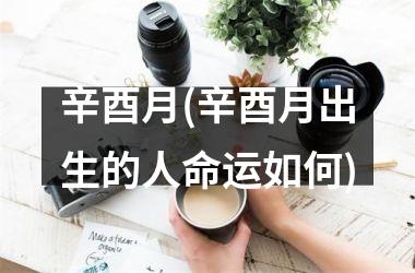 <h3>辛酉月(辛酉月出生的人命运如何)