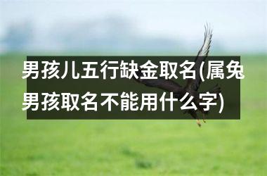 <h3>男孩儿五行缺金取名(属兔男孩取名不能用什么字)