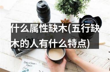 <h3>什么属性缺木(五行缺木的人有什么特点)