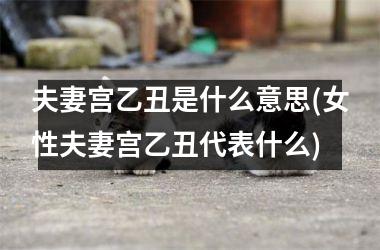 <h3>夫妻宫乙丑是什么意思(女性夫妻宫乙丑代表什么)