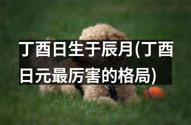 <h3>丁酉日生于辰月(丁酉日元最厉害的格局)