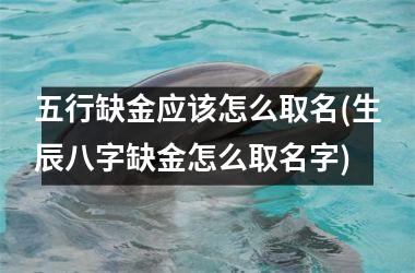 <h3>五行缺金应该怎么取名(生辰八字缺金怎么取名字)