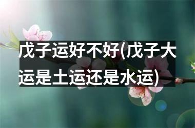 <h3>戊子运好不好(戊子大运是土运还是水运)