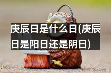<h3>庚辰日是什么日(庚辰日是阳日还是阴日)