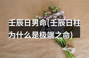 <h3>壬辰日男命(壬辰日柱为什么是极端之命)