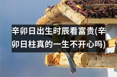 <h3>辛卯日出生时辰看富贵(辛卯日柱真的一生不开心吗)