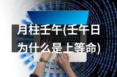 <h3>月柱壬午(壬午日为什么是上等命)