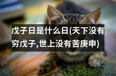 <h3>戊子日是什么日(天下没有穷戊子,世上没有苦庚申)