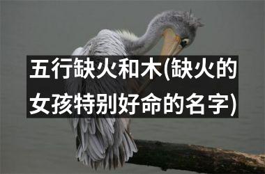 <h3>五行缺火和木(缺火的女孩特别好命的名字)