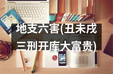 <h3>地支六害(丑未戌三刑开库大富贵)