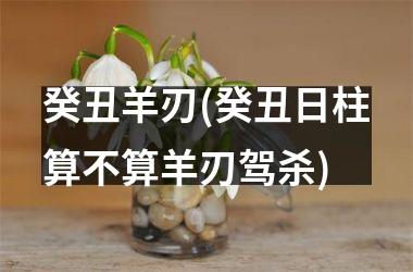 <h3>癸丑羊刃(癸丑日柱算不算羊刃驾杀)
