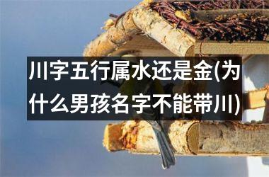 川字五行属水还是金(为什么男孩名字不能带川)