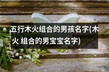 <h3>五行木火组合的男孩名字(木 火 组合的男宝宝名字)