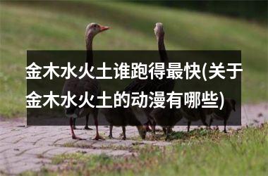 <h3>金木水火土谁跑得最快(关于金木水火土的动漫有哪些)