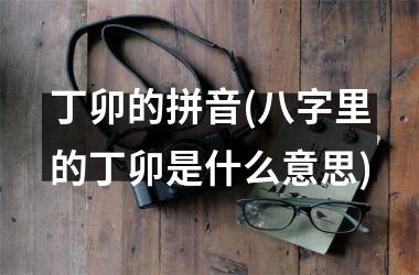 <h3>丁卯的拼音(八字里的丁卯是什么意思)