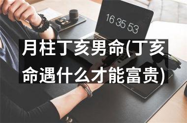 <h3>月柱丁亥男命(丁亥命遇什么才能富贵)