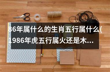 <h3>86年属什么的生肖五行属什么(1986年虎五行属火还是木)