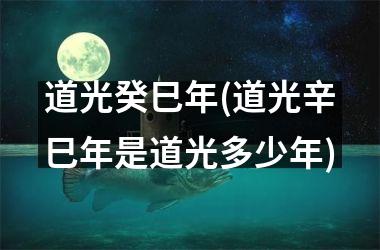 <h3>道光癸巳年(道光辛巳年是道光多少年)
