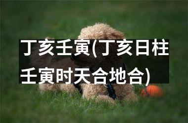<h3>丁亥壬寅(丁亥日柱壬寅时天合地合)