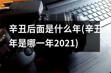 <h3>辛丑后面是什么年(辛丑年是哪一年2025)