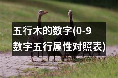 五行木的数字(0-9数字五行属性对照表)