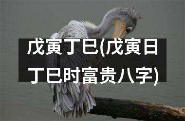 <h3>戊寅丁巳(戊寅日丁巳时富贵八字)
