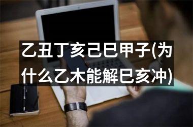 <h3>乙丑丁亥己巳甲子(为什么乙木能解巳亥冲)