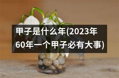 甲子是什么年(2023年60年一个甲子必有大事)