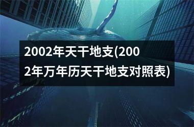 <h3>2002年天干地支(2002年万年历天干地支对照表)