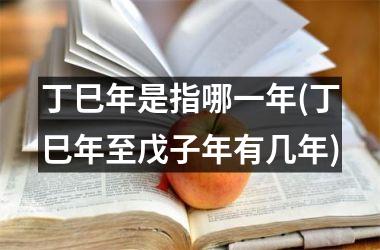 <h3>丁巳年是指哪一年(丁巳年至戊子年有几年)
