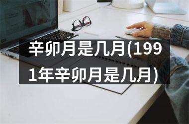<h3>辛卯月是几月(1991年辛卯月是几月)