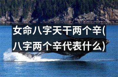 <h3>女命八字天干两个辛(八字两个辛代表什么)