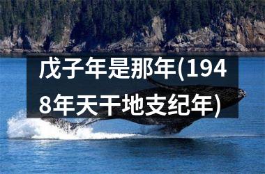 <h3>戊子年是那年(1948年天干地支纪年)