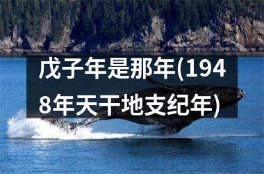 戊子年是那年(1948年天干地支纪年)