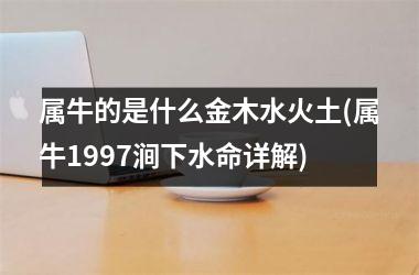 属牛的是什么金木水火土(属牛1997涧下水命详解)