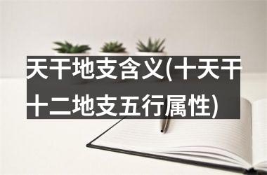 <h3>天干地支含义(十天干十二地支五行属性)
